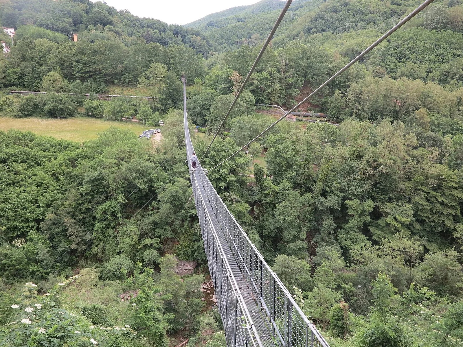 Il Ponte Sospeso delle Ferriere sospeso sopra il bosco, sulla montagna pistoiese