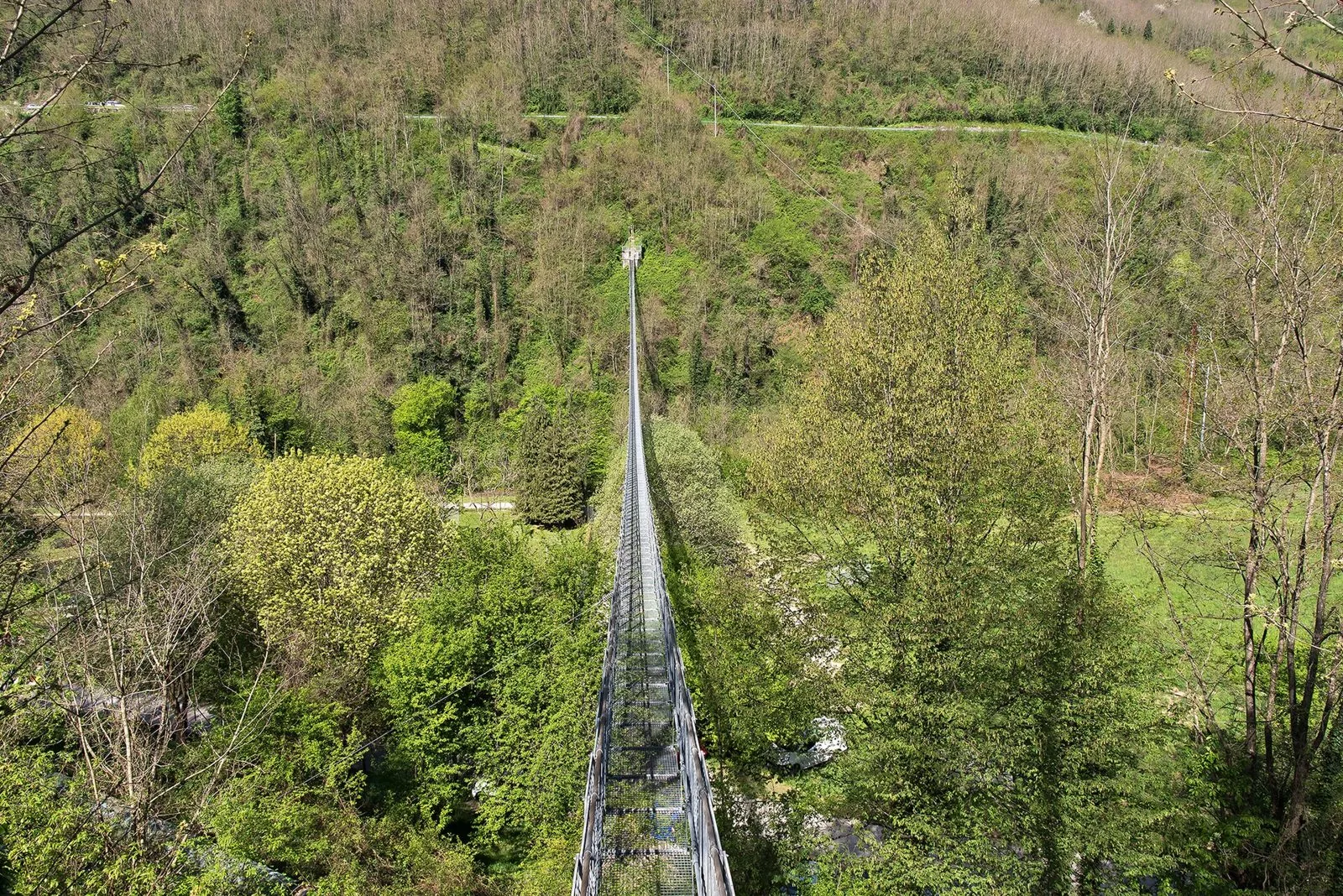 La passerella del Ponte Sospeso delle Ferriere vista dall'imbocco, tra i boschi della valle della Lima